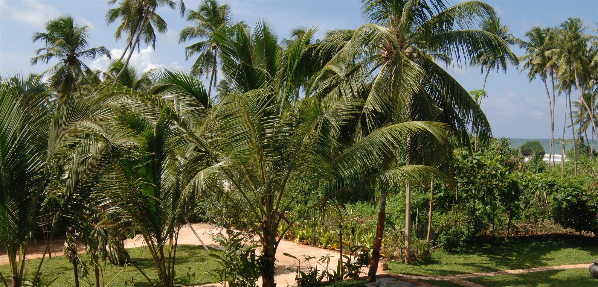 Wunderbar Beach Hotel Bentota Exterior foto